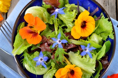 Yenilebilir çiçekler nasturtium, hodan salatası.