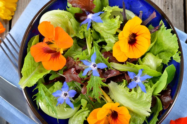 Ensalada con flores comestibles capuchina, borraja . —  Fotos de Stock