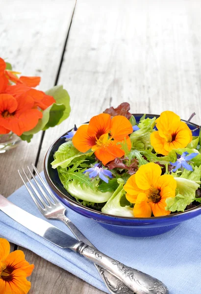 Yenilebilir çiçekler nasturtium, hodan salatası. — Stok fotoğraf