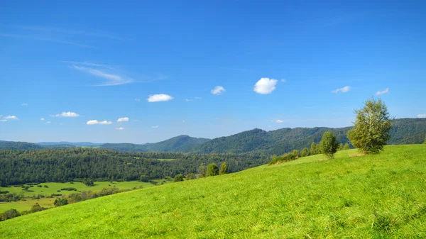 Краєвид гір регіоні гори Бещади . — стокове фото