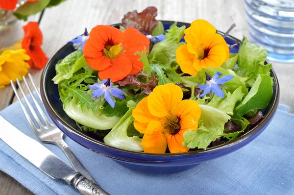 Salat mit essbaren Blüten Kapuzinerkresse, Borretsch. — Stockfoto
