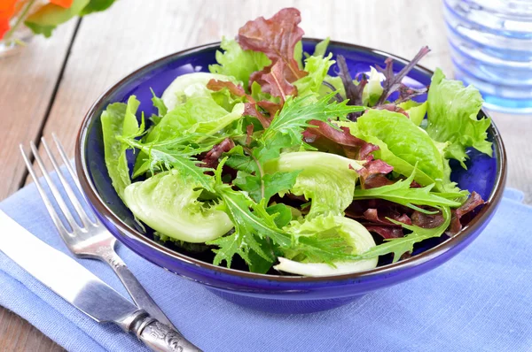 Salată verde mixtă cu frunze verzi . — Fotografie, imagine de stoc