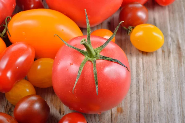 Colorful tomatoes. — Stock Photo, Image