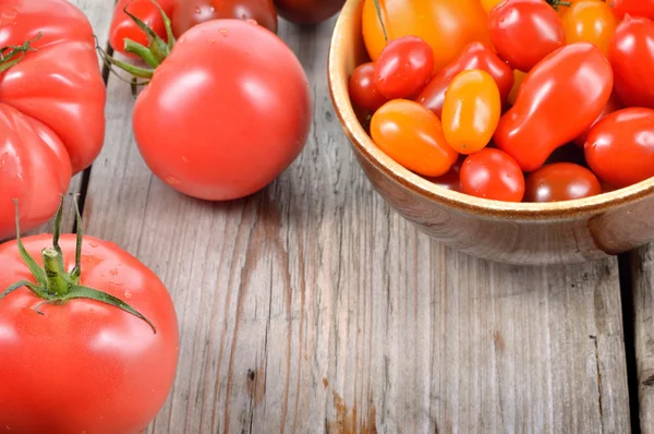 Colorful tomatoes. — Stock Photo, Image