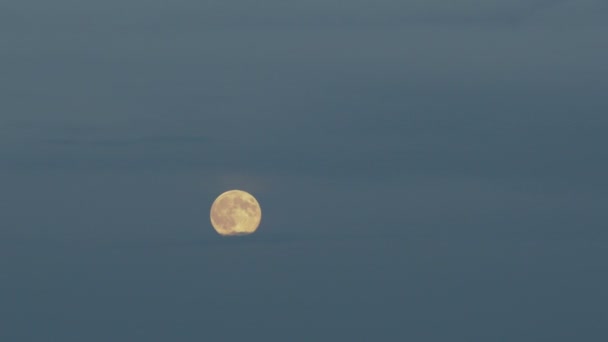 Lua cheia sobre o céu tarde da noite . — Vídeo de Stock