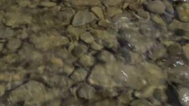 Sığ dağ San Nehri akış güneşli gün.