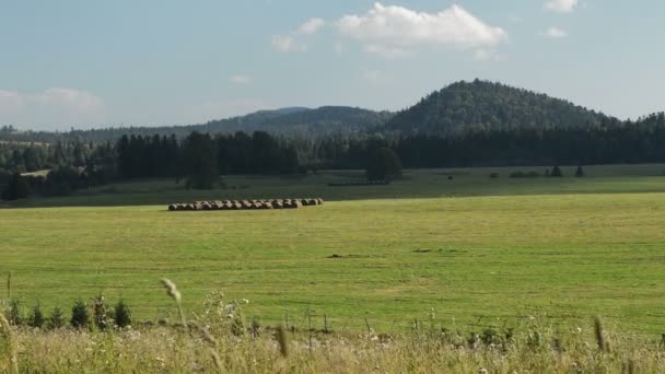 Timelapse łąka w górach, Bieszczady. — Wideo stockowe