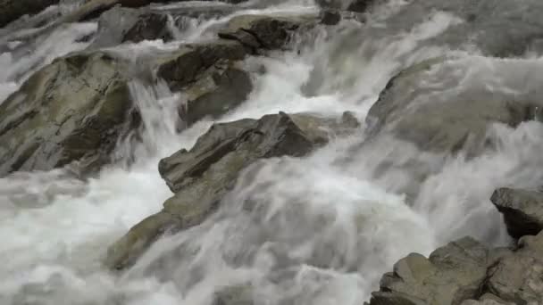 Garganta del río Sine wiry, Bieszczady . — Vídeos de Stock