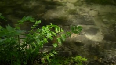 Akan su deresi ve tesisin kapatılması.