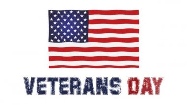 Mutlu Gaziler Günü 'nde Amerikan bayrağının dalgalanması