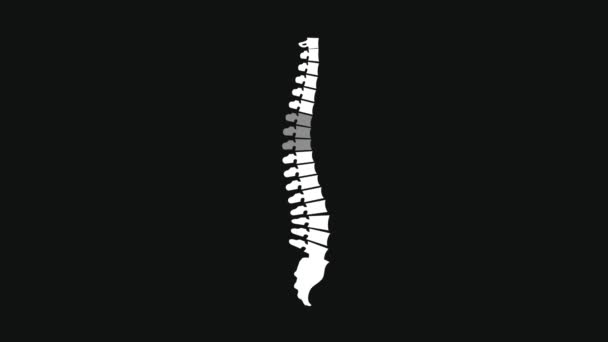 Боль в спине анимированная иллюстрация с позвоночником. Сосредоточение внимания на позвоночнике — стоковое видео