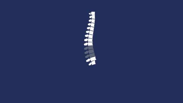 Focalizzato sulla regione della colonna vertebrale Vertebra. Mal di schiena illustrazione animata con colonna vertebrale. — Video Stock