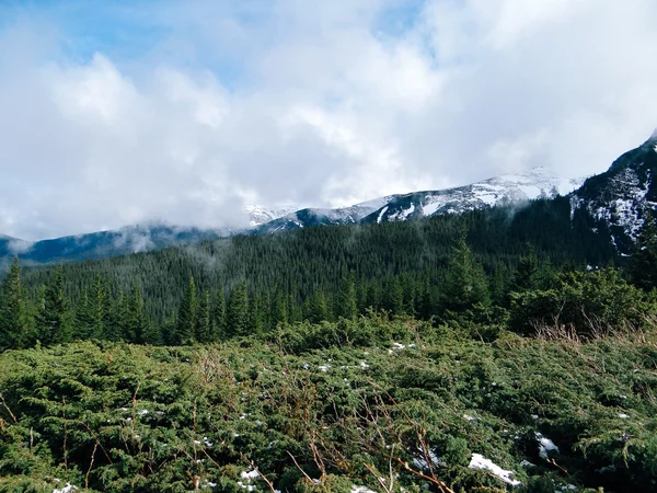 Karpaten landschap - berg Goverla — Stockfoto