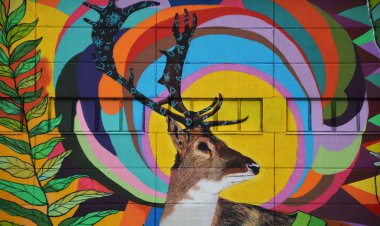 Sokak grafiti Minsk, Beyaz Rusya Eylül 2016 Vulica Brasil Festivali