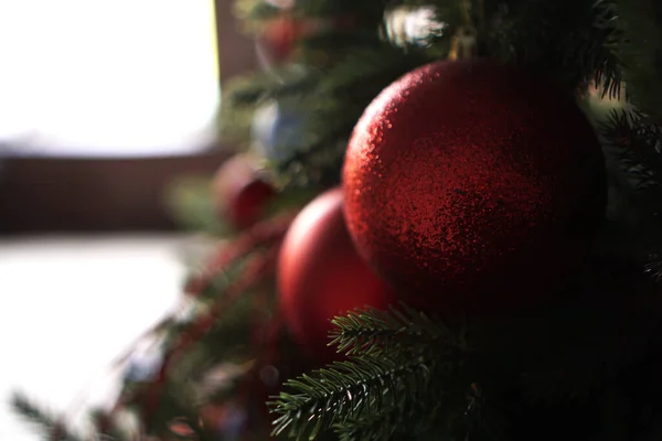 Leuchtend rote Weihnachtskugel hängt an Tannenzweigen — Stockfoto