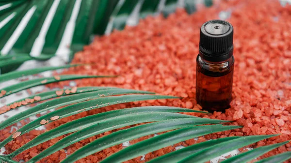 Bouteille cosmétique à l'huile sur fond de sel de mer et de feuilles tropicales — Photo