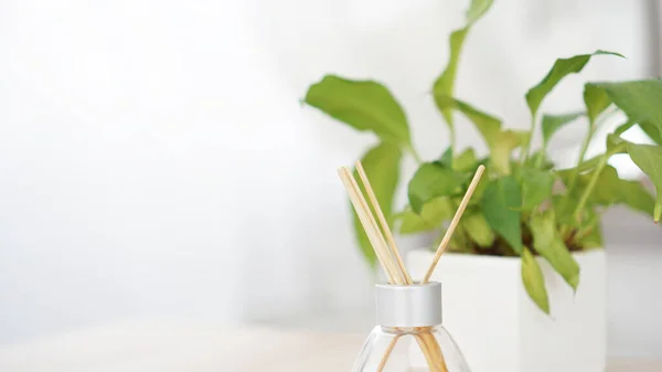 Bastoncini di profumo in bottiglia di vetro con fiore in un vaso sullo sfondo bianco — Foto Stock