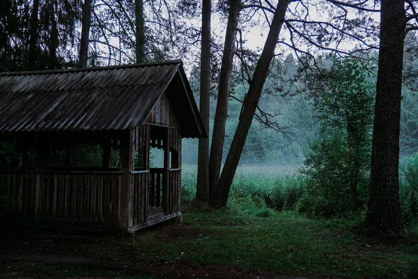 Ett gammalt trälusthus i en grön skog. Dimma över träsket i bakgrunden — Stockfoto