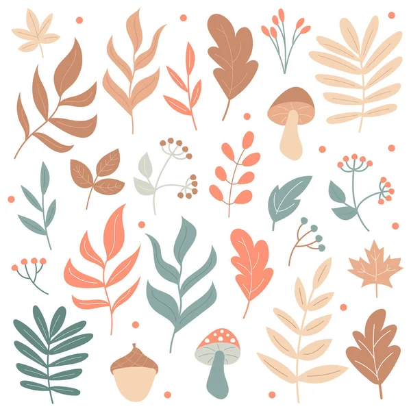 Big set of Autumn elements - mushrooms and plants - on a white background — Stock Vector