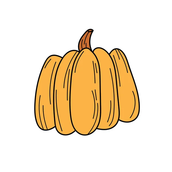 Vector Dibujado Mano Icono Garabato Calabaza Ilustración Bocetos Alimentos Para — Vector de stock