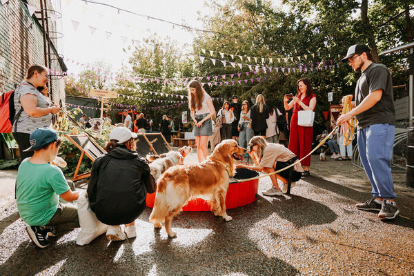 11 сентября 2021 года Минск, Беларусь - Золотистый ретривер. Фестиваль домашних животных в городском парке в яркий солнечный день. Выставка собак. Праздник