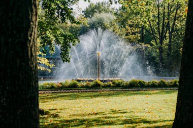 Peterhof, Rusya. Aşağı Park 'taki güneş çeşmesi, Peterhof, Saint Petersburg, Rusya