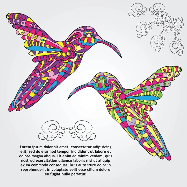 Vektorové kolibřík — Stockový vektor
