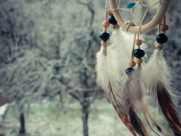 dream catcher on a winter forest