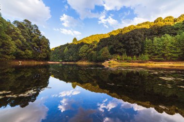 Ormanda bir göl, mavi ve bulutlu gökyüzünün yansımaları, ve su yüzeyindeki ağaçlarla