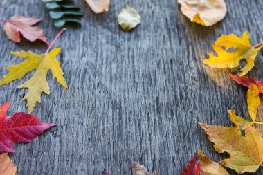 Tahta üzerinde renkli yapraklar olan sonbahar arkaplanı