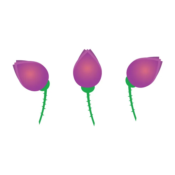 As tulipas roxas de sonhos — Vetor de Stock