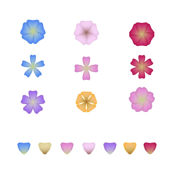 Különböző színű virágok és szirmok elszigetelt fehér background — Stock Vector