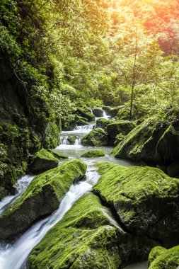 şelaleler ve yeşil ecek kaplı taşlar