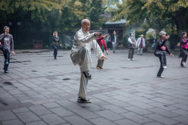 Asya grup Tai Chi bir bahçe içinde pratik