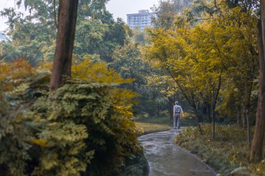 Tai Chi bir bahçe içinde pratik ihtiyar