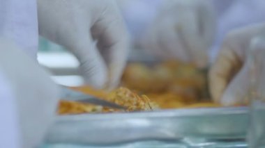 Laboratuvarda özenle ve sağlık fikirleri kavramına yoğunlaşarak altın sarısı korteksleri test edin ve geliştirin.