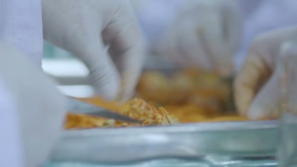 Cientista especialista testar e desenvolver cordyceps amarelo dourado em laboratório com cuidado e concentrar ideias de saúde conceito — Vídeo de Stock