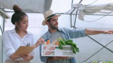 4k yavaş el ele tutuşan Asyalı kadın ortak ve beyaz çiftçi hidroponik sebze serasında iş hakkında tartışıyorlar. Mutluluk ve neşe dolu bitkiler arka planda.