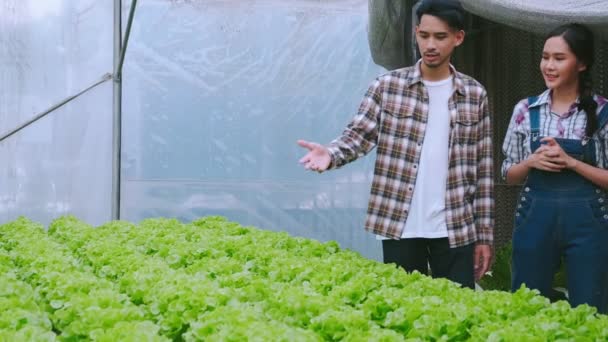 4k langzame handheld aziatische paar boer lopen en bespreken hand punt naar rek van hydrocultuur groente kas boerderij — Stockvideo