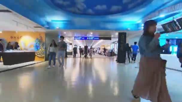 Passageiro Caminhando Terminal Aeroporto — Vídeo de Stock