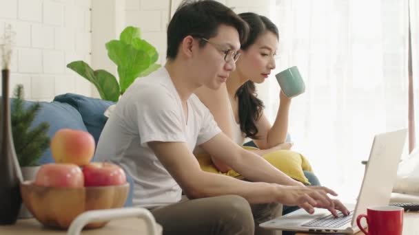 Pasangan manis yang bahagia menikmati bekerja di rumah dengan minuman panas dan laptop bersama-sama di ruang tamu latar belakang rumah — Stok Video