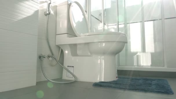 Baño sanitario blanco concepto de fondo interior — Vídeos de Stock