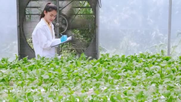 4k lento mano asiático hembra hidrocultura especialista estudiar raíz estructura de lechuga invernadero fondo — Vídeo de stock