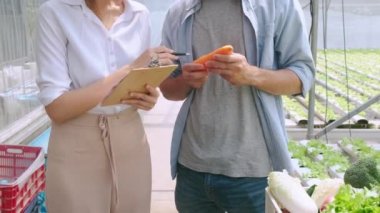4k yavaş el ele tutuşan Asyalı kadın ortak ve beyaz çiftçi hidroponik sebze serasında iş hakkında tartışıyorlar. Mutluluk ve neşe dolu bitkiler arka planda.