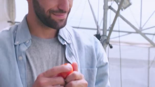 Pomalý 4k handheld běloch muž farmář šťastný vychutnat ocenit ruční držení rajčat čerstvý produkt v hydroponics skleníkové farmě — Stock video