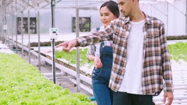 4k lento handheld asiático casal agricultor takecare e discutir como a planta de crescimento em hidropônico farn estufa fundo — Vídeo de Stock