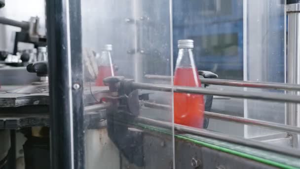 Flessen fabriek machines productielijn - rood sap bottelen lijn voor het verwerken en bottelen van sap in flessen. Selectieve focus industriële technologie business concept — Stockvideo