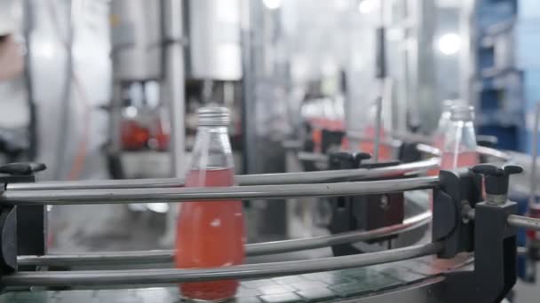 Şişeleme fabrikası üretim hattı - kırmızı meyve suyu şişeleme hattı şişeleri işlemek ve şişelemek için. Seçici odaklı endüstriyel teknoloji iş konsepti — Stok video