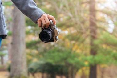 Bayan gezgin elini kapat. Kamerayı bir elinde tut. Sonbahar kahverengi ağaç yaprağında duruyor.