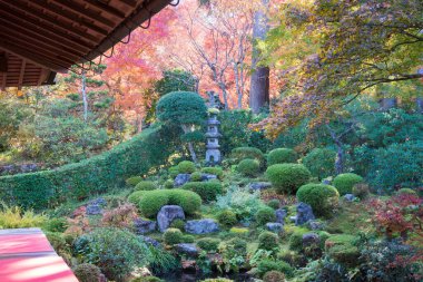 Kyoto, Japonya - Japonya, Kyoto, Ohara 'daki Sanzenin Tapınağı' nda sonbahar yaprağı rengi. Sanzenin Tapınağı 804 yılında kuruldu..